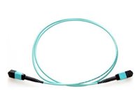 Axiom network cable - TAA Compliant - 1 m - aqua