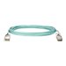 Hewlett Packard Enterprise - HPE 100Gb Active Optical Cables