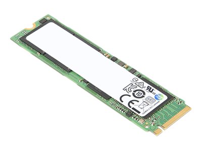 Husk farvning Glow Lenovo - SSD - 256 GB - PCIe - 4XB0W79580