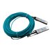Hewlett Packard Enterprise - HPE X2A0 Active Optical Cable