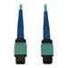 Tripp Lite - Tripp Lite 40/100/400G Multimode 50/125 OM3 Fiber Optic Cable (24F MTP/MPO-PC F/F), LSZH, Aqua, 5 m (16.4 ft.)