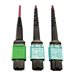 Tripp Lite - Tripp Lite 400G MTP/MPO Multimode OM4 Plenum-Rated Fiber Cable, 16F MTP/MPO-APC to (x2) 12F MTP/MPO-UPC, Magenta, 1M