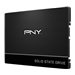 PNY - PNY CS900