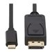 Tripp Lite - Tripp Lite USB C to DisplayPort Adapter Cable Bi-Directional 4K M/M 10ft