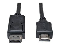 Tripp Lite USB C to DisplayPort Adapter Cable Bi-Directional 4K M/M 10ft - DisplayPort  cable - 24 pin USB-C to - U444-010-DP-BD - USB Adapters 