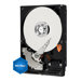 Western Digital - WD Caviar Blue WD5000AAKX