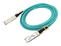 Axiom network cable - 33 ft