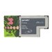 MSIT Standard Gemalto GemPC Express Smart Card Reader/Writer
