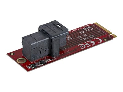 StarTech.com U.2 to M.2 Adapter - for 1 x U.2 PCIe NVMe SSD - M.2