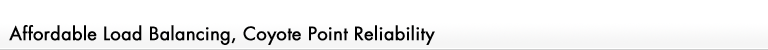 Affordable Load Balancing, Coyote Point Reliability