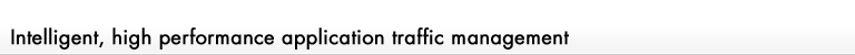 Intelligent, high performance application traffic management